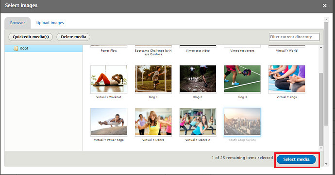 A screenshot of the Select Images popup